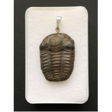 Přívěšek z trilobita